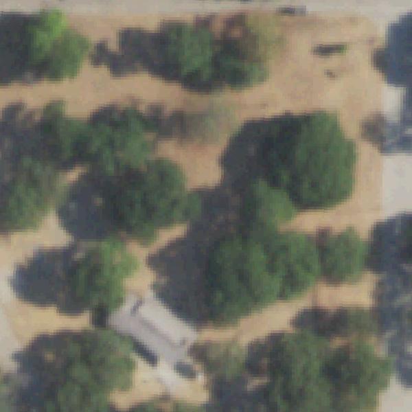Aerial view of Handley Park