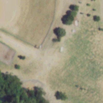 Aerial photo of Harry Myers Park