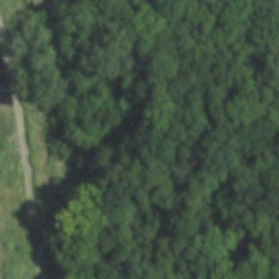 Aerial photo of Harry S Moss Park