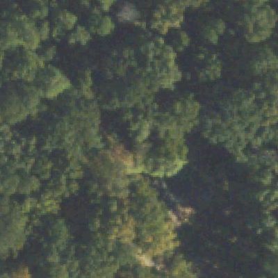 Aerial view of Henderson Park Native Plant and Wildlife Walk