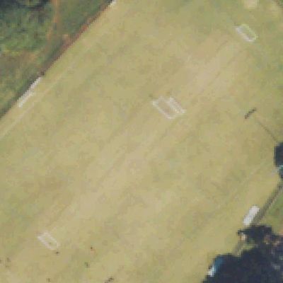 Aerial view of Henderson Park