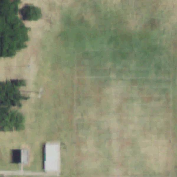 Aerial view of Holford Park