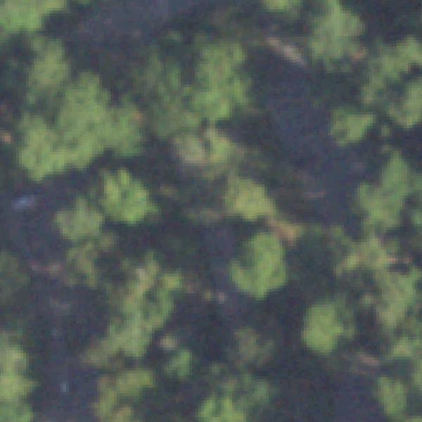 Aerial view of Jesse H. Jones Park & Nature Center