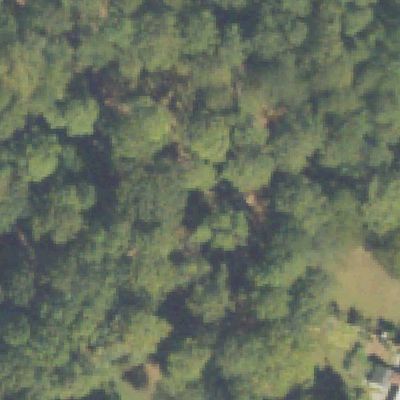 Aerial view of John R. Lewis Memorial Park & Dog Park