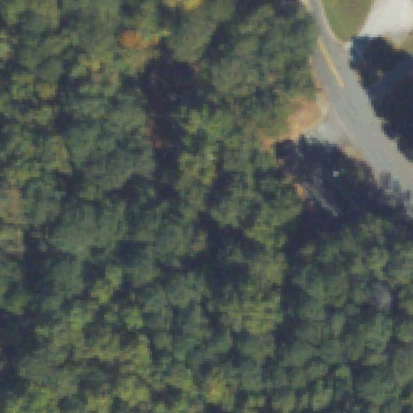 Aerial view of Kelley Cofer Playground Pavilion