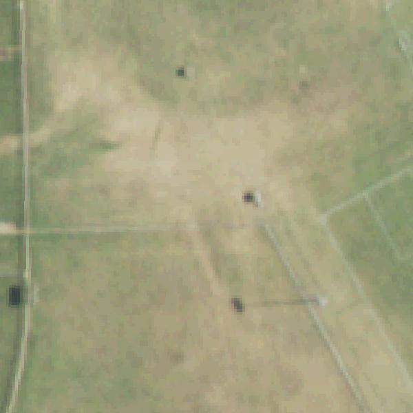 Aerial photo of Kiest Park