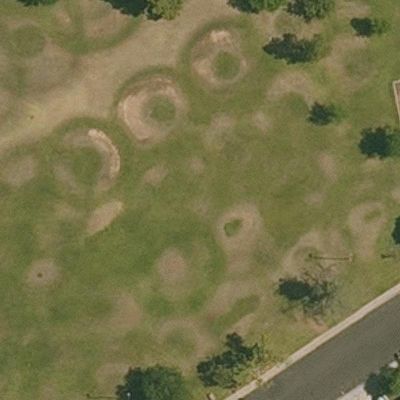 Aerial view of Kings Park