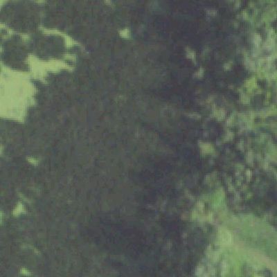 Aerial photo of Kitty Hollow Park