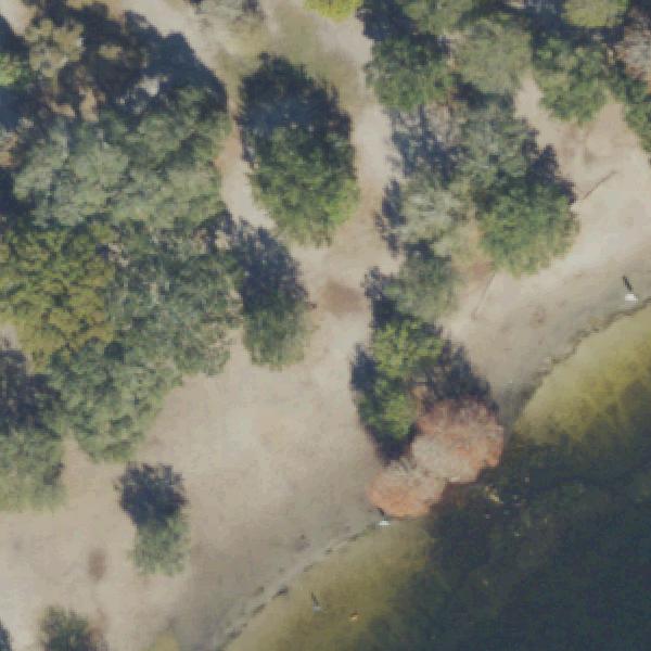 Aerial photo of Lake Baldwin Dog Park