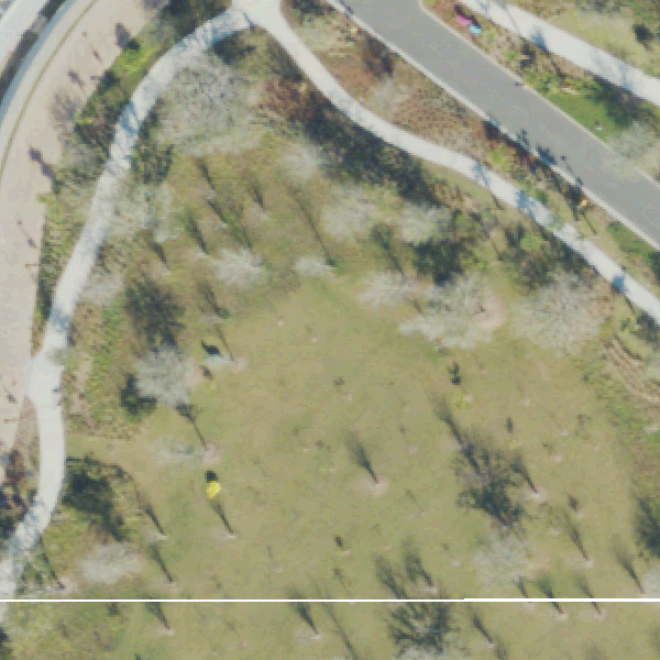 Aerial view of Lake Nona Sculpture Park