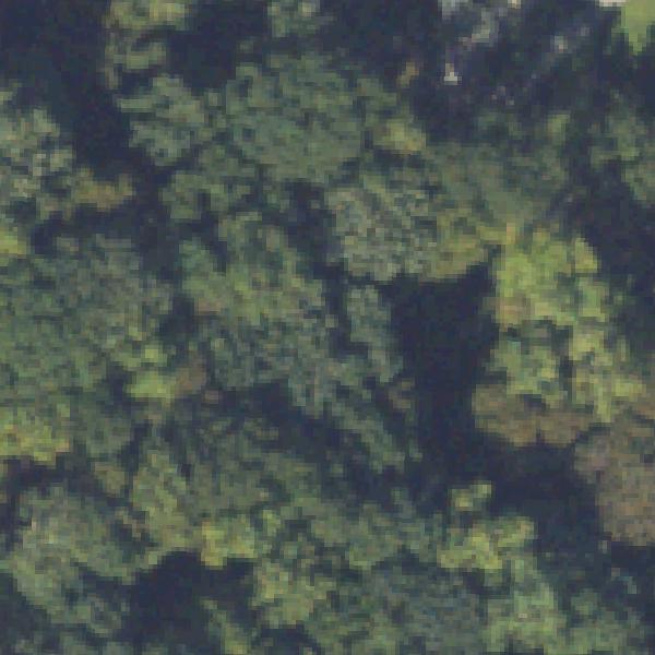 Aerial view of LaVista Park