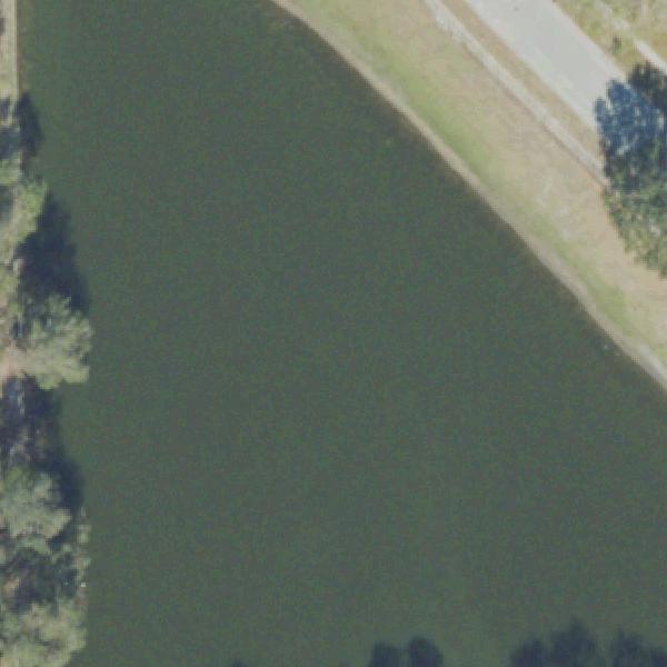 Aerial view of Lighthouse Park