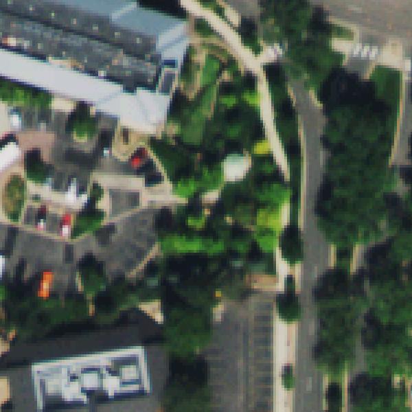 Aerial photo of Lindsay Park