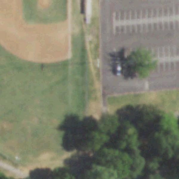 Aerial view of Lions Park