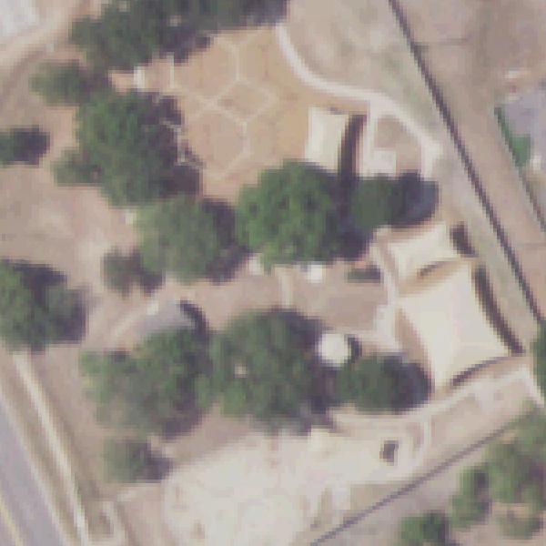 Aerial photo of Lions Park