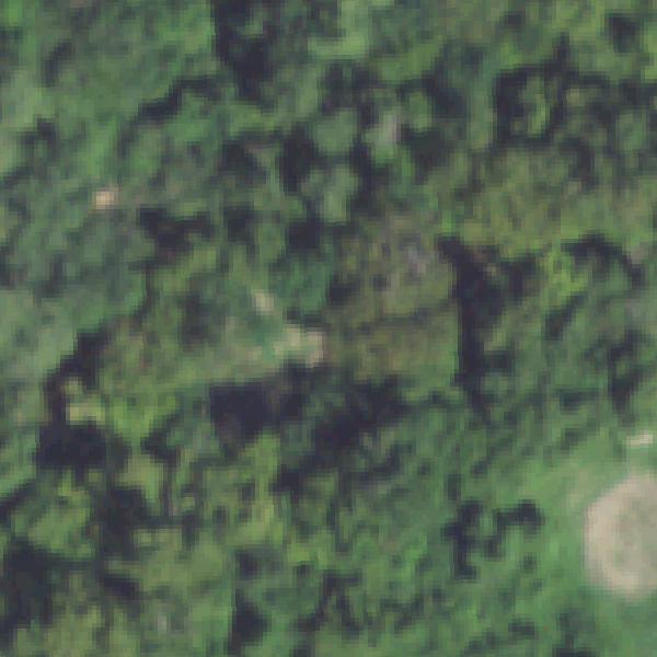 Aerial photo of Little Thicket Park