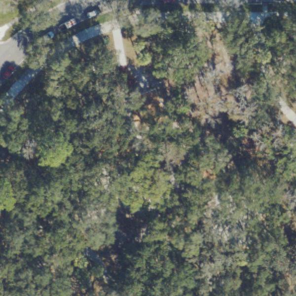 Aerial view of Live Oak Park