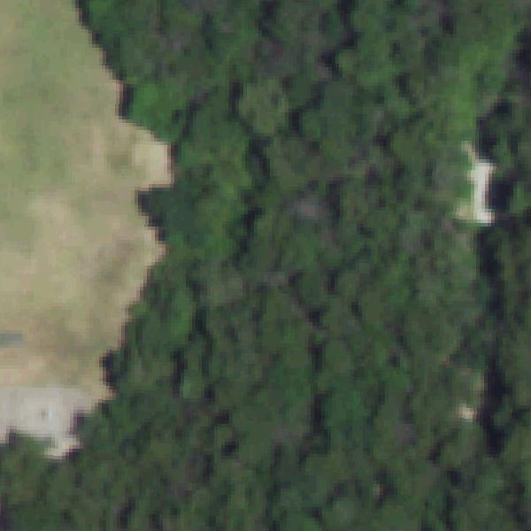 Aerial view of Lochwood Park