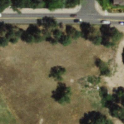 Aerial photo of Long's Pine Grove