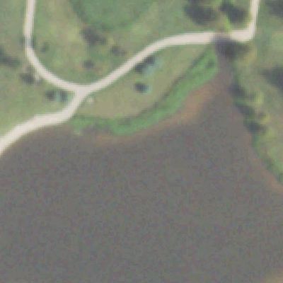 Aerial photo of Magnolia Park