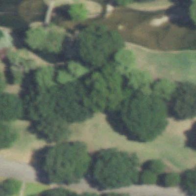 Aerial view of Mallon Park