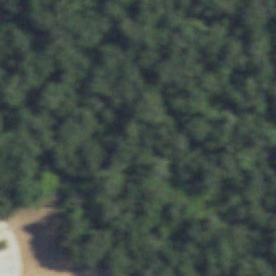 Aerial view of Martha Walker Park