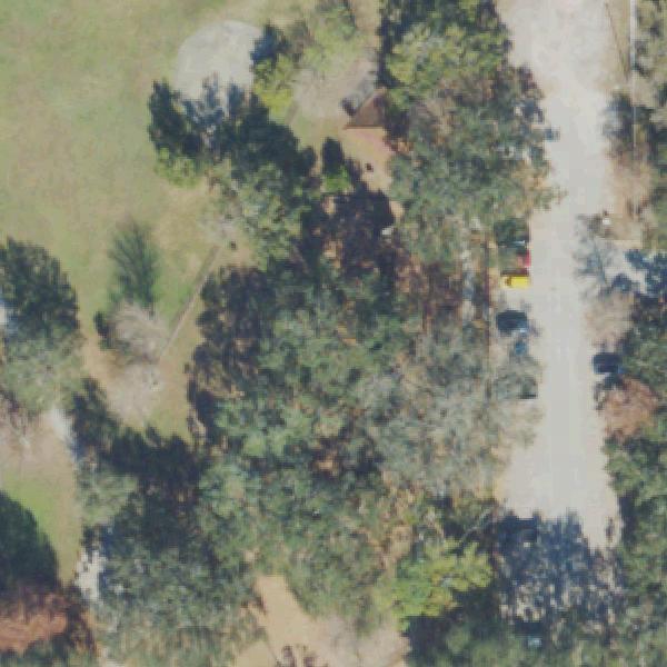 Aerial photo of Martin Luther King, Jr. Park