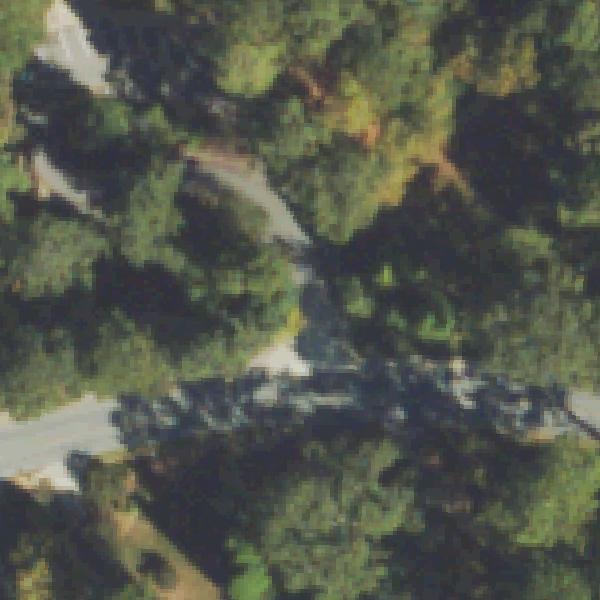 Aerial view of Mary Scott Nature Park