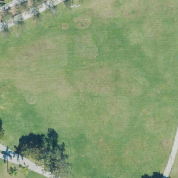 Aerial view of Maurice A. Ferré Park