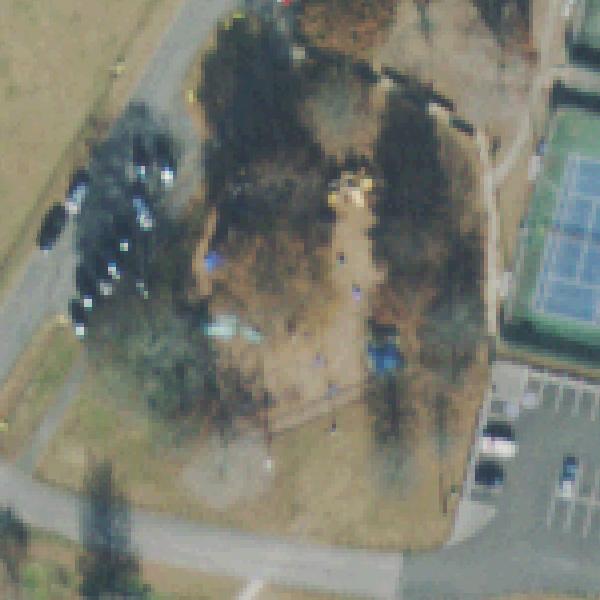 Aerial photo of Memorial Park