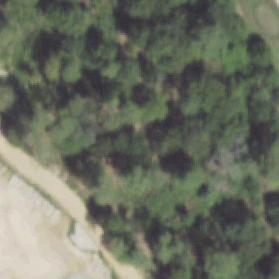 Aerial photo of Memorial Park