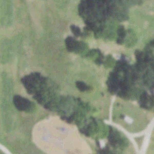 Aerial photo of Memorial Park