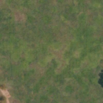 Aerial view of Mills Park
