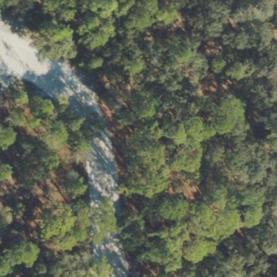 Aerial photo of Moss Park