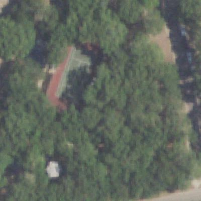 Aerial view of Nichols Park