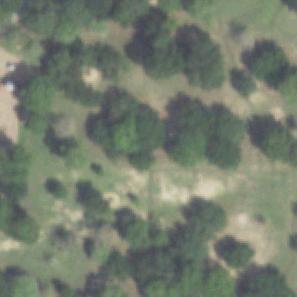 Aerial photo of Nob Hill Park