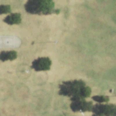 Aerial view of Northaven Park & Greenbelt