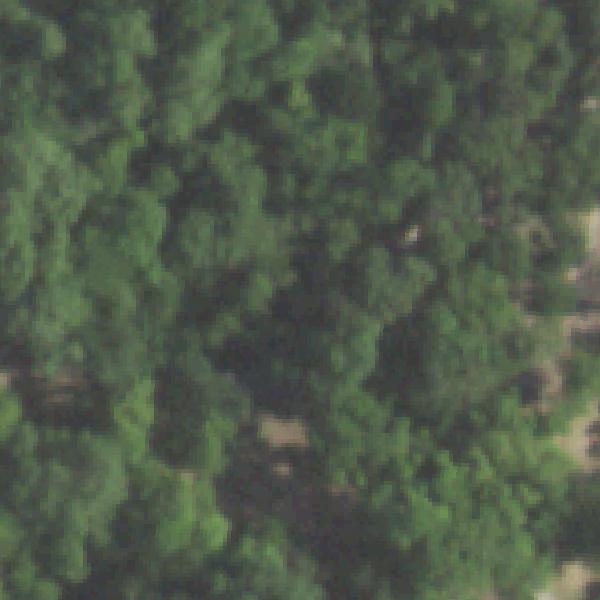 Aerial view of Oak Cliff Founders Park