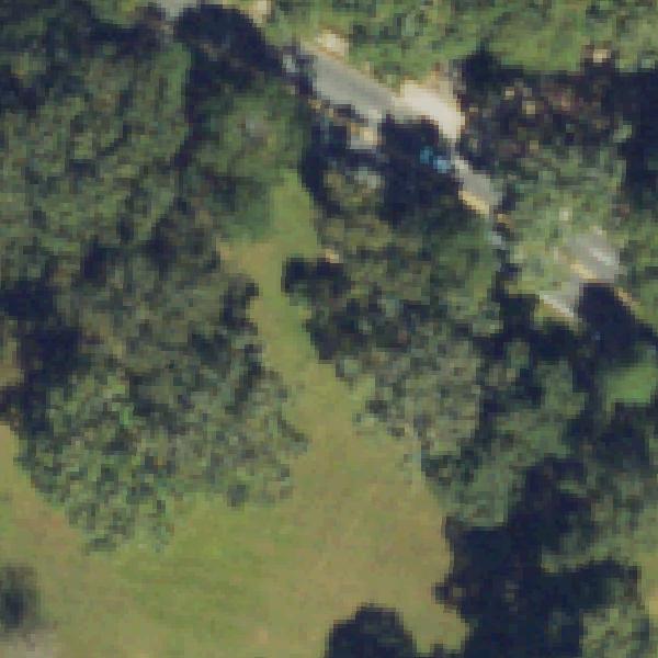 Aerial view of Olmsted Linear Park