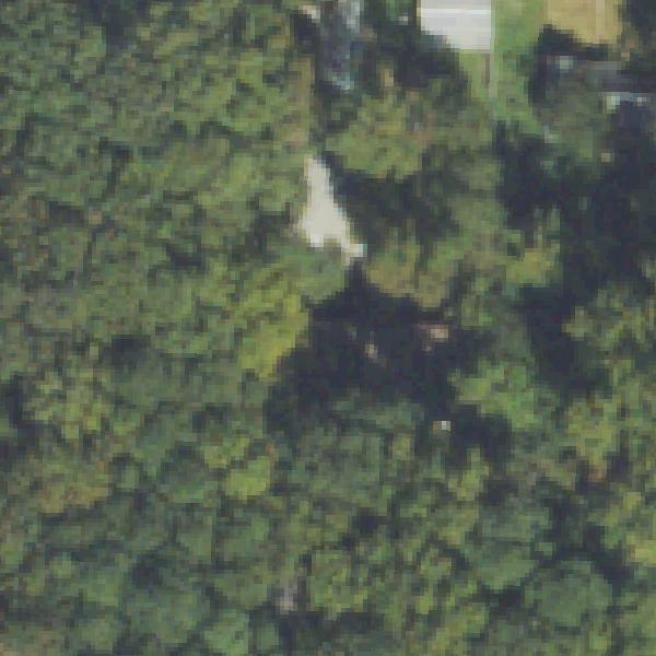Aerial view of Outdoor Activity Center