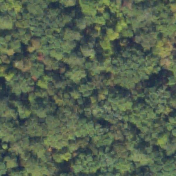 Aerial view of Panola Mountain State Park