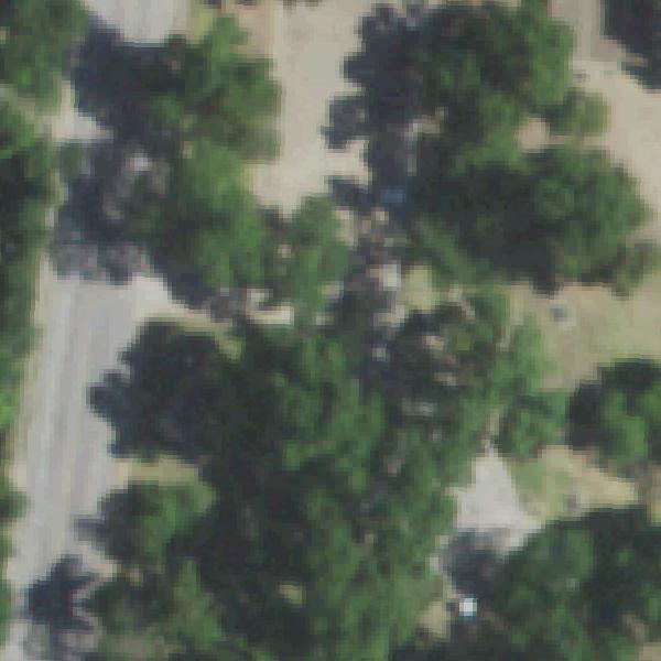 Aerial view of Parkdale Park