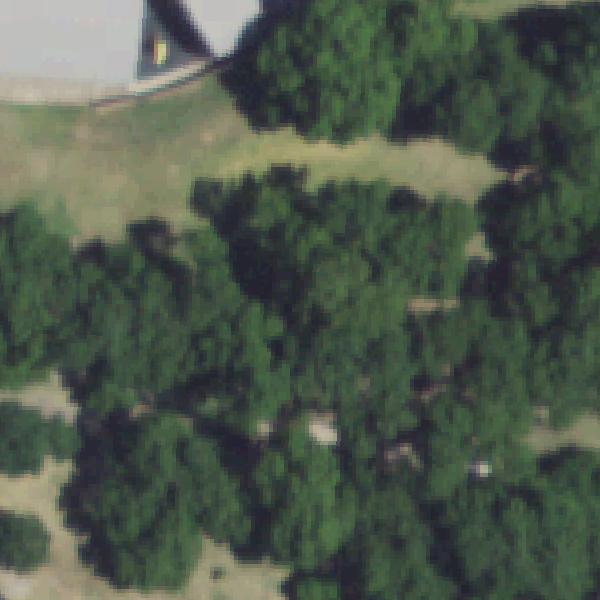 Aerial view of Pecan Grove Park