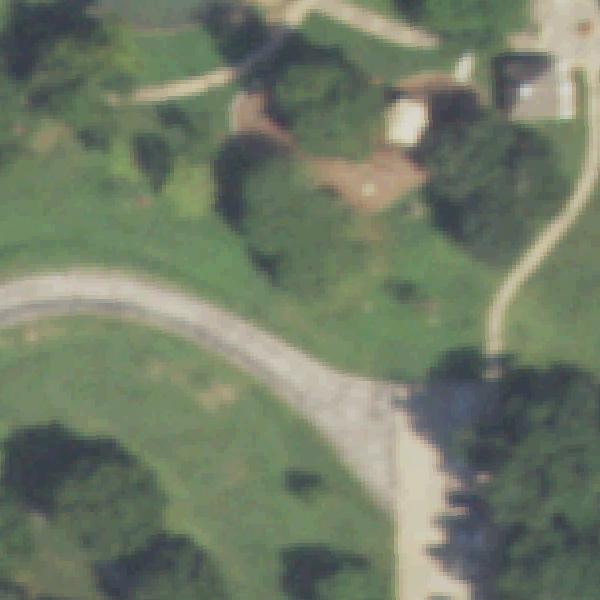 Aerial photo of Pecan Park