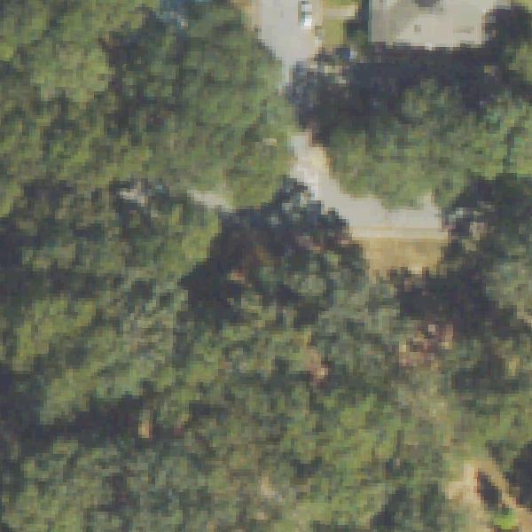 Aerial view of Perkerson Park