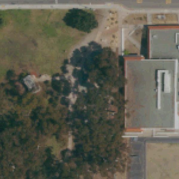 Aerial view of Pioneer Park