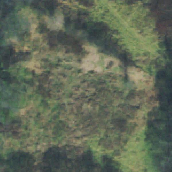 Aerial photo of Ravenwood Park