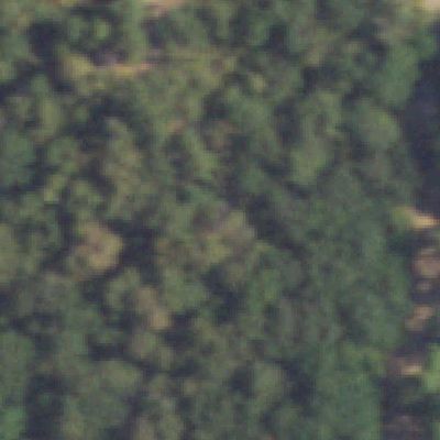 Aerial view of Rickel Park