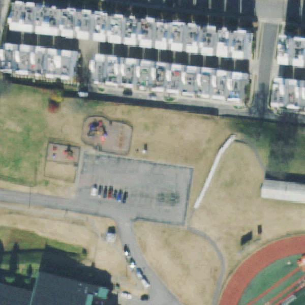 Aerial photo of Rose Park