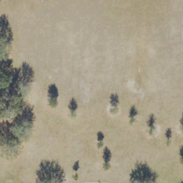 Aerial photo of Rose Place Park